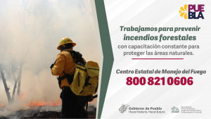 En Puebla, provocar incendios forestales no tiene impunidad; gobierno estatal exhorta a denunciar