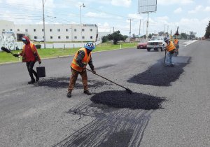 Bacheo