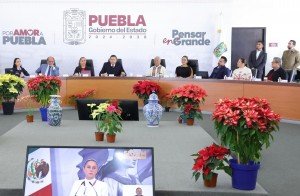 Puebla avanza a la soberanía energética con módulos fotovoltáicos