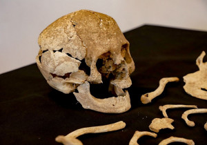 El Instituto Nacional de Antropología e Historia resguarda el cráneo que cayó por accidente
