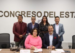 Avala Comisión del Congreso convocatoria para Consejo Consultivo de la CDH Puebla