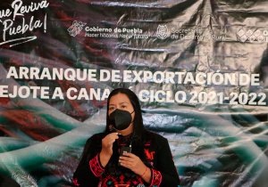 Vincula SDR a productores para exportar ejote a Canadá