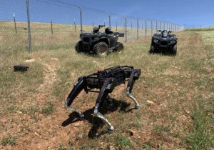 Perros robots vigilarán la frontera