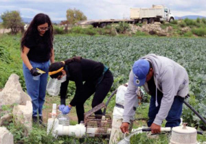 Desarrolla BUAP proyecto de colaboración sobre inocuidad de alimentos agrícolas