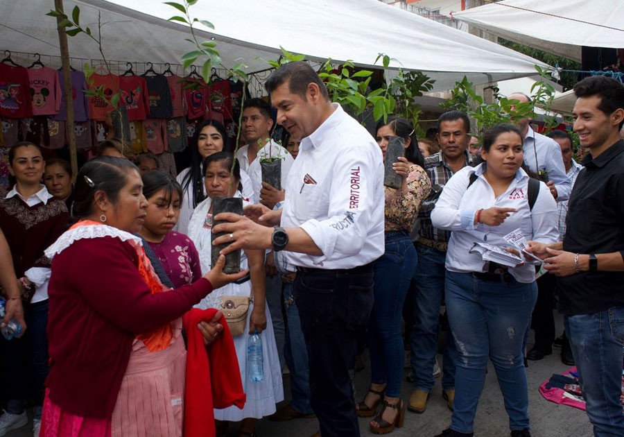 En Tlatlauquitepec, Armenta fortalece su campaña de reforestación