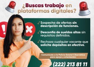 Emite SSP recomendaciones ante ofertas de empleo falsas en plataformas digitales