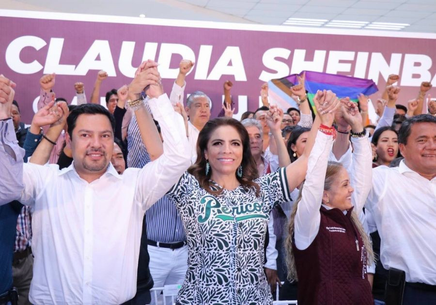 Existe igualdad de circunstancias para aspirantes a candidatura de Morena: Olivia Salomón