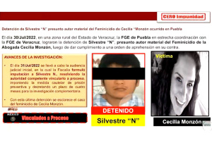 Esclarecen feminicidio de Cecilia Monzón