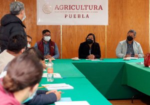 Campo poblano tendrá profesionales para asesoría técnica a productores