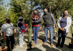 Reforestación San Antonio Cacalotepec