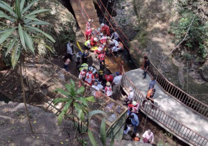 Se desploma puente colgante en Morelos ¡en reinauguración!