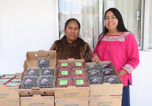 Promueve gobierno de Puebla consumo local de frambuesas y zarzamoras