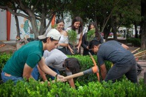 Más de medio millón de jóvenes se movilizaron en la jornada nacional por la paz: IMJUVE