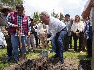 Avanza Pepe Chedraui en la recuperación de áreas verdes con “Raíces del Futuro”