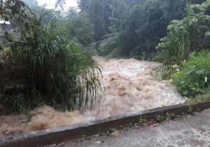 Ocho municipios del estado, afectados por lluvias: Segob