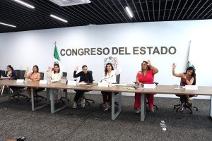 Aprueba Comisión del Congreso el diseño e implementación de protocolos para la prevención, detección y atención de la violencia vicaria