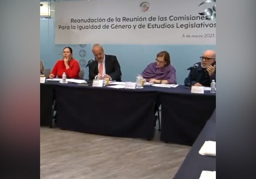 #VideoExilio I Así fue el trabajo de las Comisiones del Senado