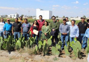 Impulsa gobierno estatal cooperativas agrícolas en San Andrés Cholula