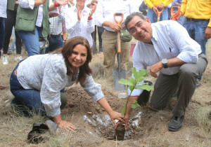 Inicia Sergio Salomón programa de reforestación en Parque Estatal “Flor Del Bosque”