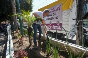 Impulsa Pepe Chedraui faena de conservación en el parque principal de