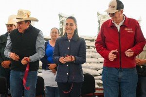 Alcanzamos la autosuficiencia alimentaria de frijol gracias a Zacatecas: Sheinbaum