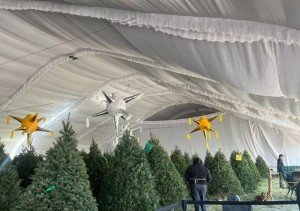 Invitan a reciclar árboles de Navidad con campaña de economía circular en Puebla