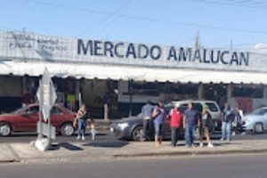 Confirman 9 mdp para obras en mercado de Amalucan