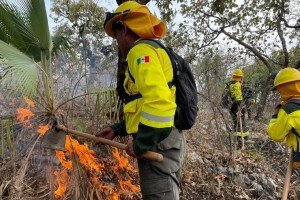 Coordinación interinstitucional logra sofocar incendio forestal sin daños a población en Cohetzala