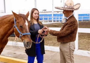 SMDIF Puebla entrega a Fundación CORCEL dos equinos para su retiro