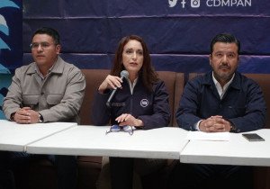 Con todo e historial violento, PAN postulará a Inés Saturnino