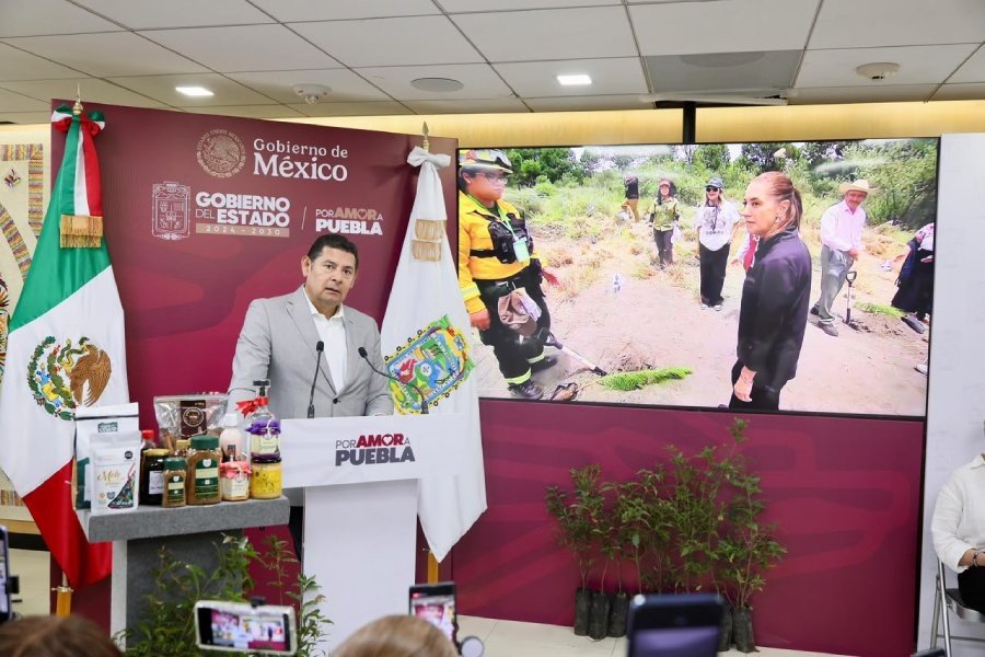 Rescate del Izta-Popo impulsa reforestación nacional con apoyo de la presidenta Sheinbaum