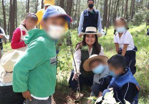 Inicia Medio Ambiente campaña de reforestación; serán plantados 250 mil árboles