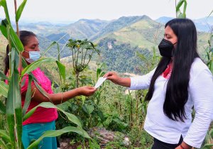 Entrega SDR apoyos en Olintla a productores afectados por huracán