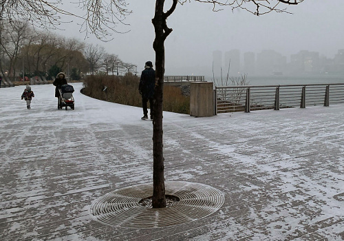 Tormenta de nieve en NY; tome precauciones