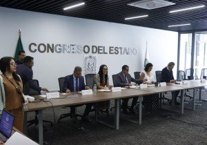 Declaran sin efecto diversas iniciativas presentadas en la LXI Legislatura