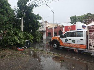 Gobierno de Pepe Chedraui atiende incidencias por lluvias y vientos