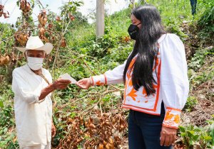 Continúa indemnización a productores afectados por 'Grace'