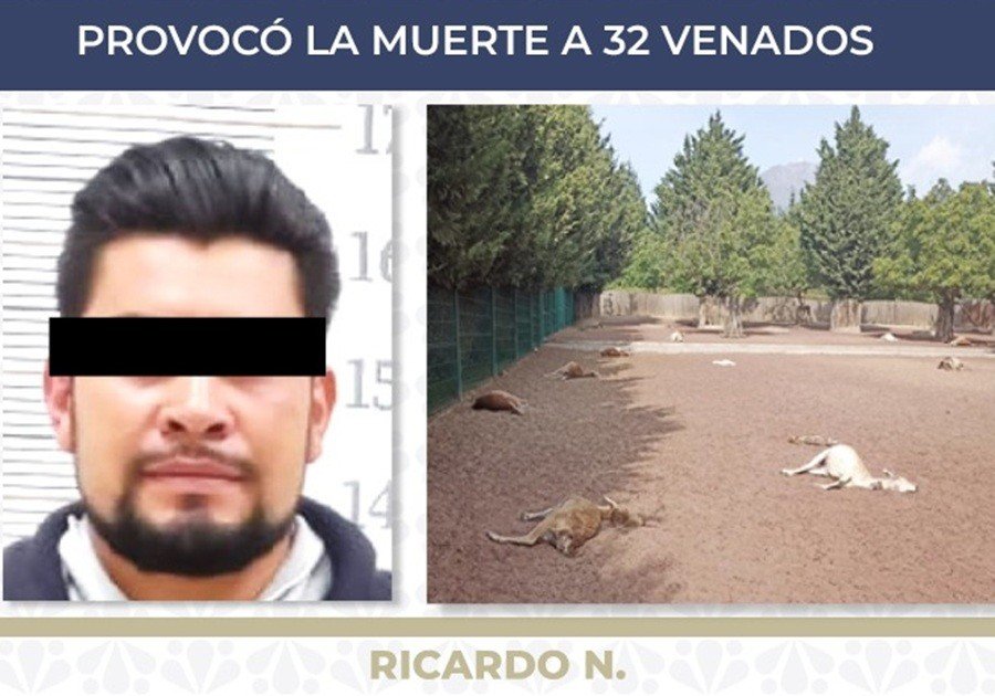 Obtiene FGE sentencia de 6 años de prisión contra sujeto por crueldad animal