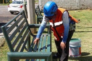 Mantiene Pepe Chedraui poda y chapeo en parques y áreas verdes