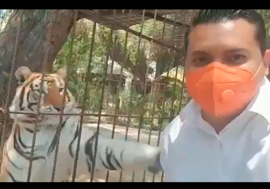 Dan manita de gato a candidato en Tehuacán