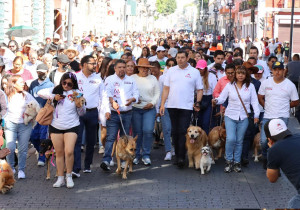 Por Amor a Puebla, Armenta concreta acciones a favor de la vida animal