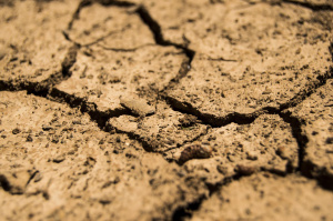 Inicia SDR plan para atender afectaciones por sequía en municipios