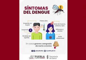 Acumula Puebla 736 casos de dengue: Secretaría de Salud