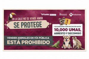 Se refuerzan acciones para regular venta de animales en vía pública por instrucciones de Pepe Chedraui