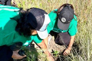 Impulsa Gobierno de Pepe Chedraui restauración del Cerro de Amalucan con “Raíces del Futuro”