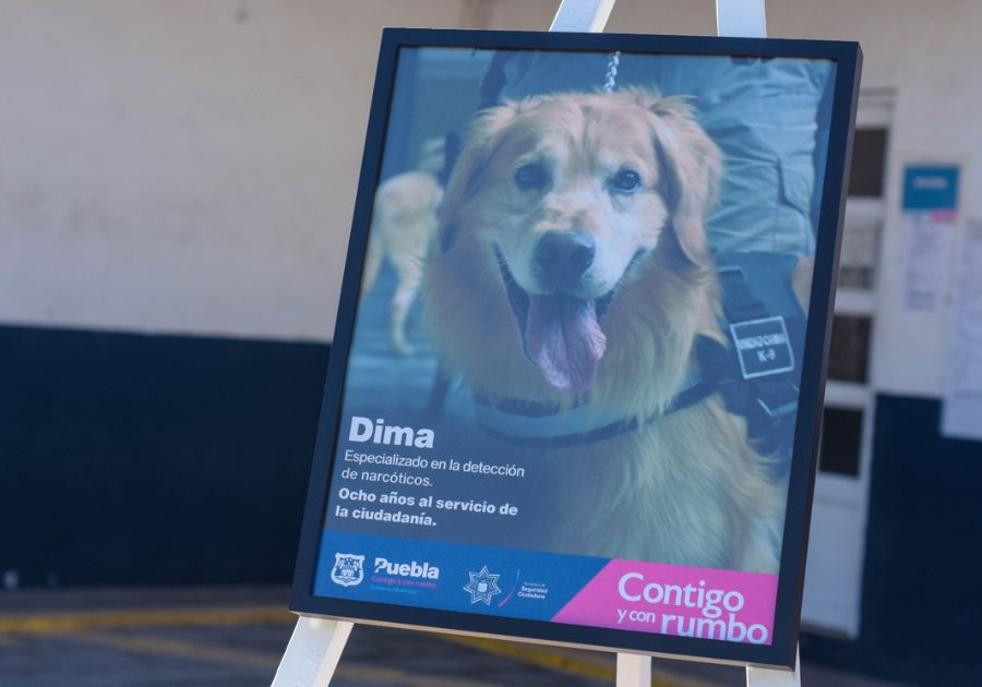 Rinde SSC homenaje póstumo a canino especializado en detección de narcóticos