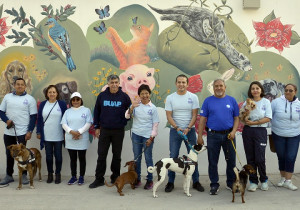 Festeja BUAP primer aniversario del Centro de Apoyo Emocional y Terapia Ocupacional con Animales