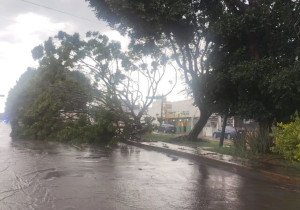 Afectaciones en Puebla, Cholula y Ocoyucan por las lluvias