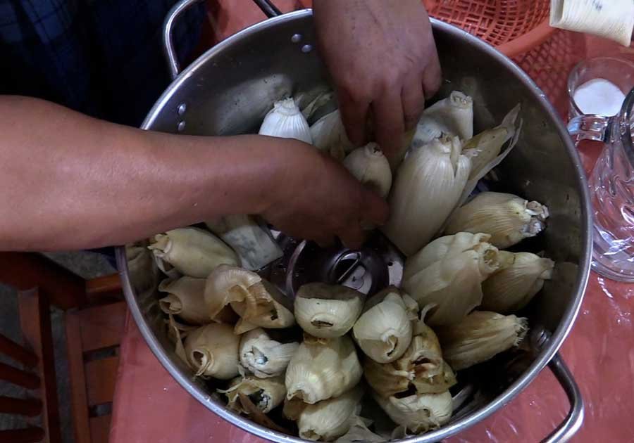 Tamales de quelite y frijol: sabores únicos en Xochimilco