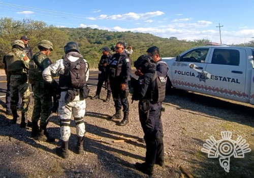 Trabaja gobierno de Sergio Salomón coordinadamente en materia de seguridad con autoridades de Guerrero